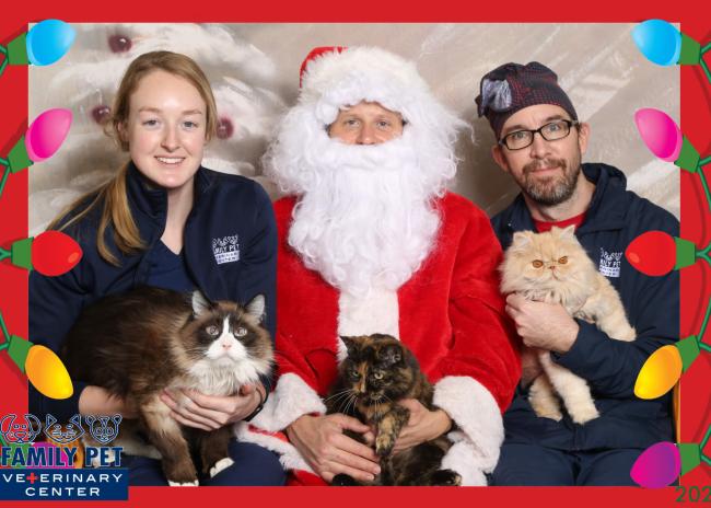 Santa Photo - Clinic Cats
